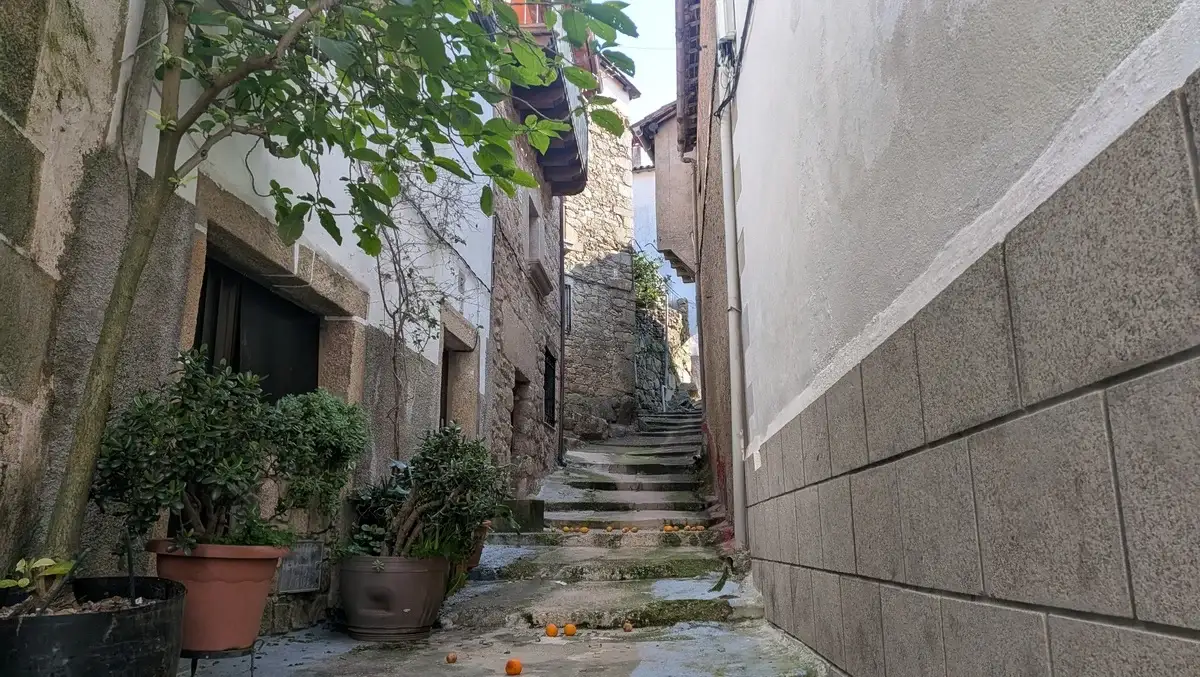 Acebo, Sierra de Gata