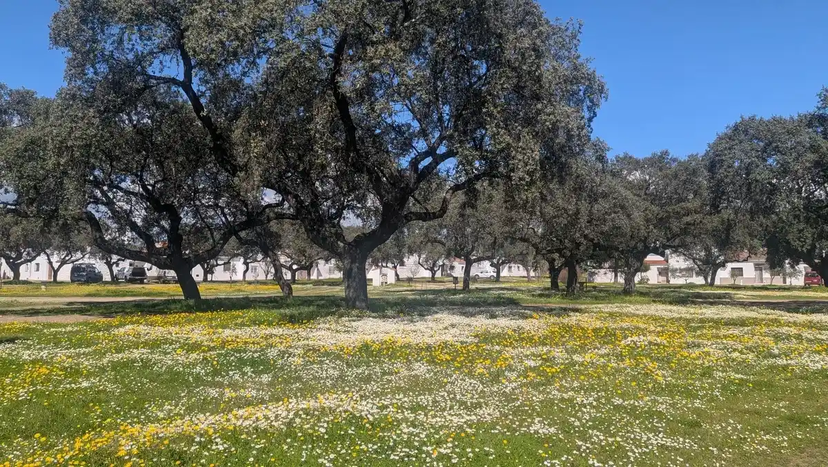 Plazas de Vegaviana
