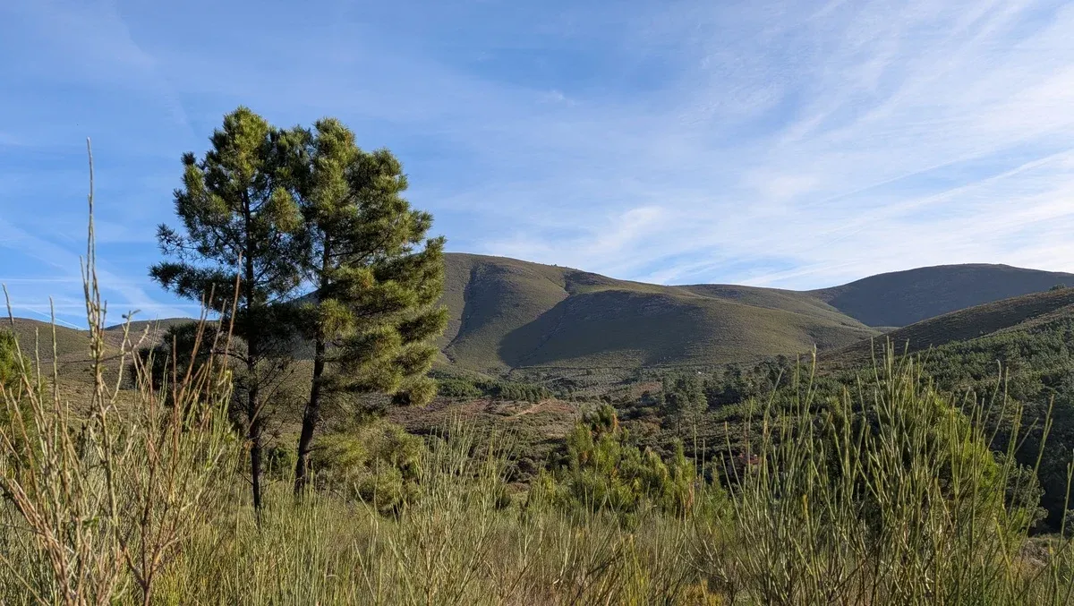 Camino desde Jevero a Prado de las Monjas