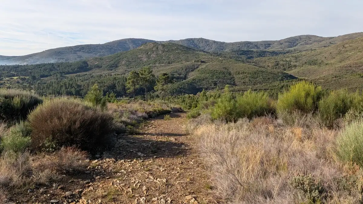 Caminos ruta Cervigona