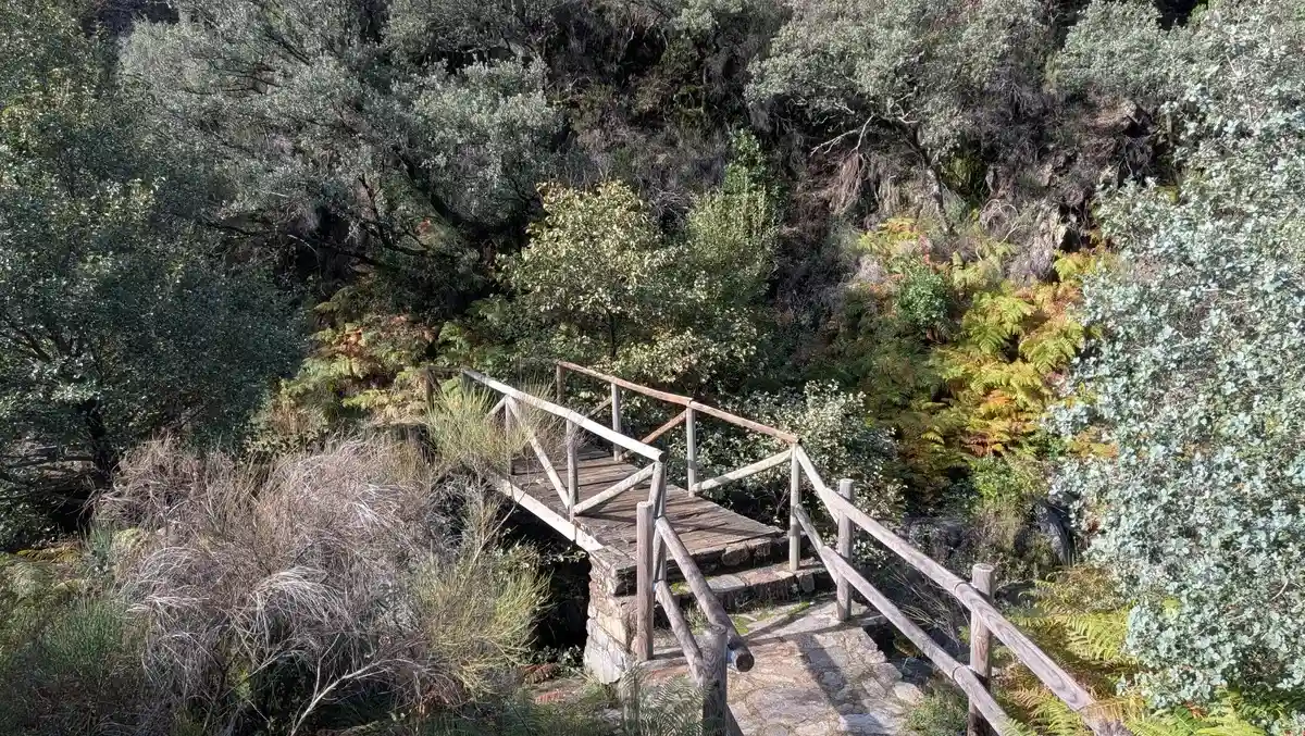 Puentes ruta Cervigona