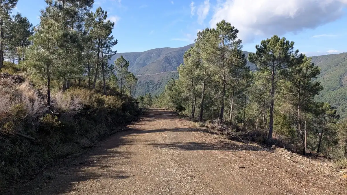 Ruta a la Peña Montá, Descargamaría