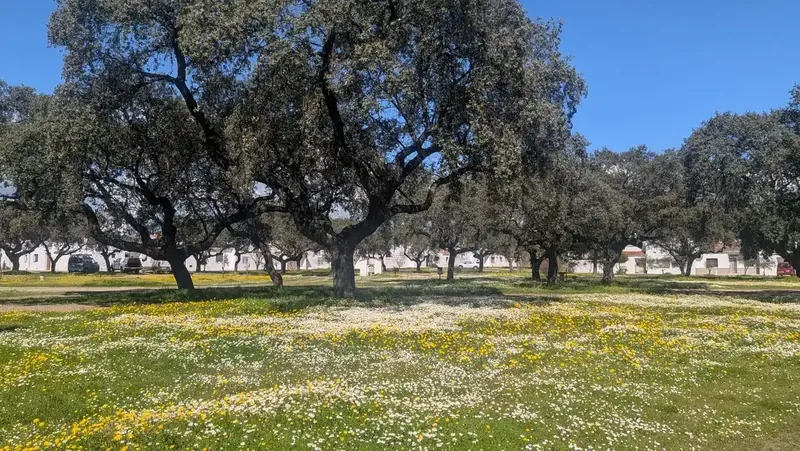 Plazas de Vegaviana