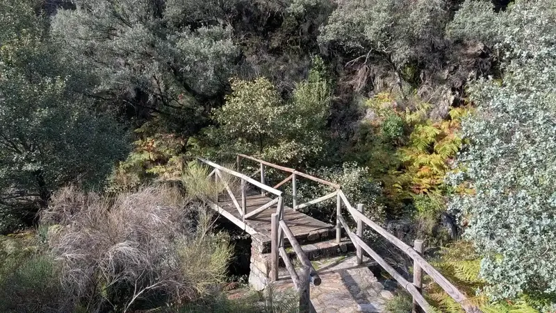Puentes ruta Cervigona