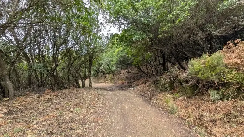 Ruta Convento del Hoyo