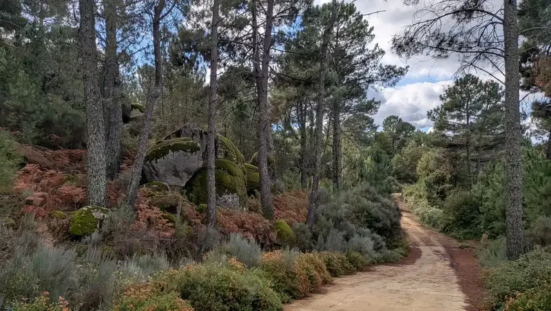 Ruta senderista de la Almenara